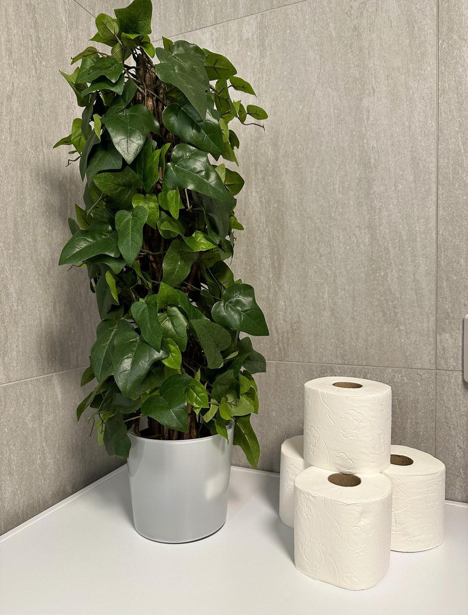 Apartment Sentral Med 3 Soverom Og Kjokken - Mare *